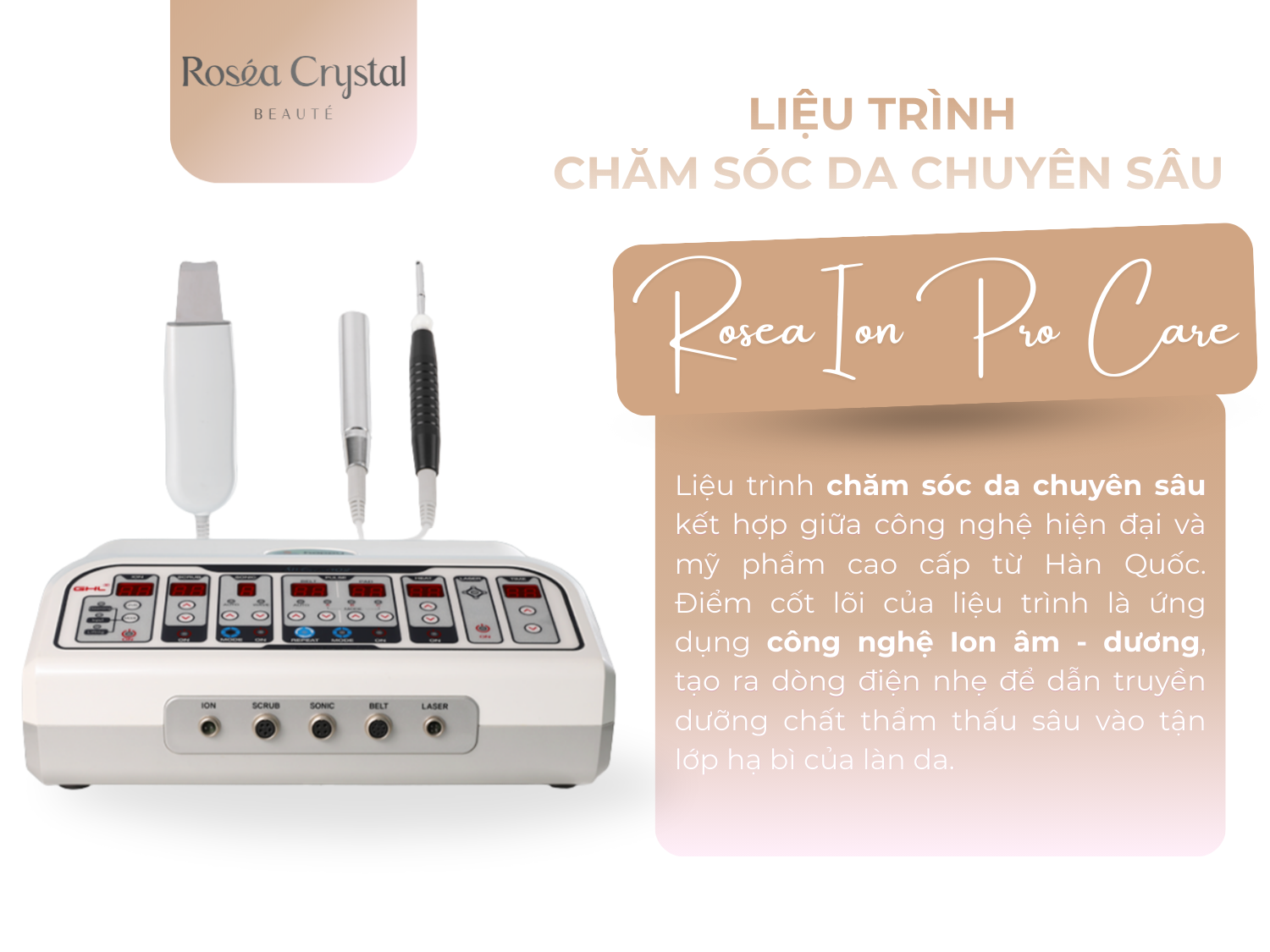 Liệu Trình Chăm Sóc Da Chuyên Sâu Rosea Ion Pro Care