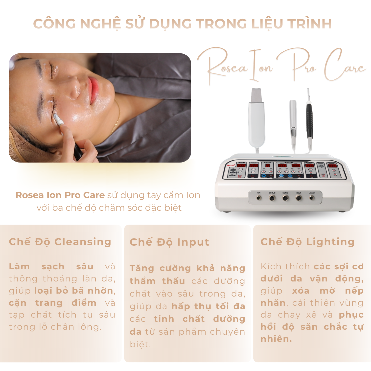 Liệu Trình Chăm Sóc Da Chuyên Sâu Rosea Ion Pro Care