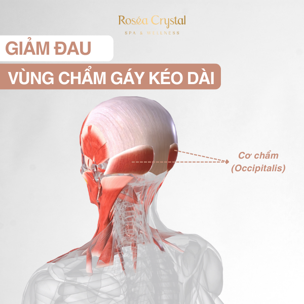 Giam-dau-vung-cham-gay-keo-dai