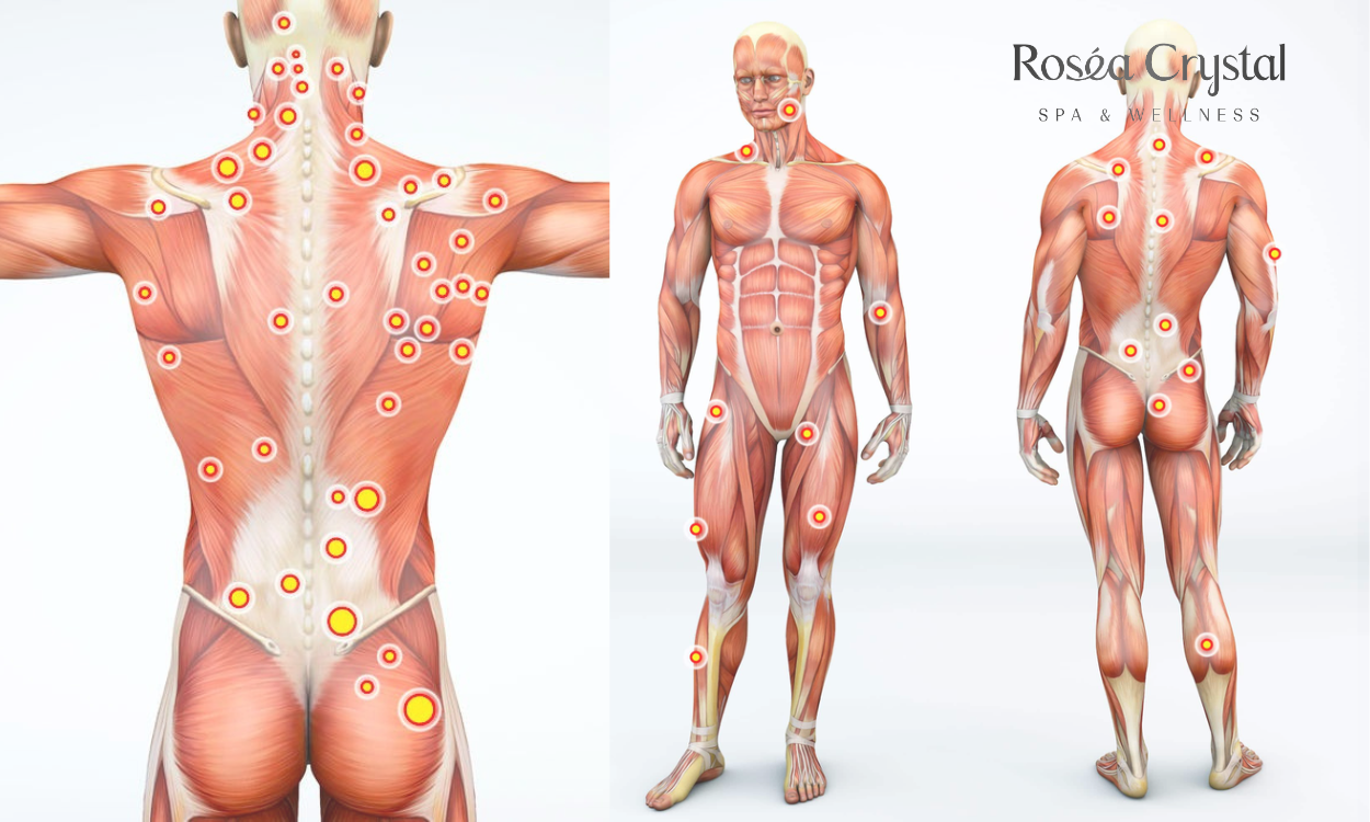 Liệu Trình Hồi Phục Cơ Bắp Bằng Công Nghệ GOG Tại Rosea Crystal