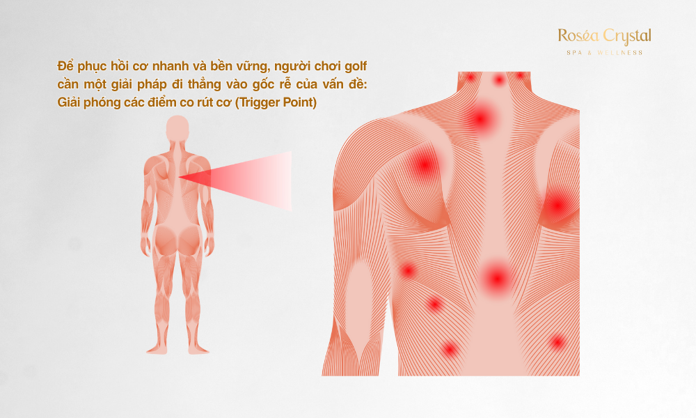 Liệu Pháp Massage Cơ Cổ Vai Gáy Cho Người Chơi Golf