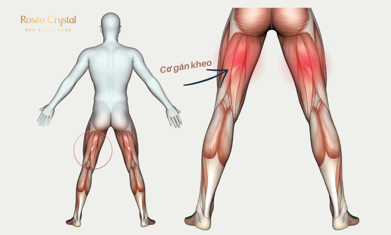 Trị Liệu Chấn Thương Gân Kheo Khi Đá Bóng